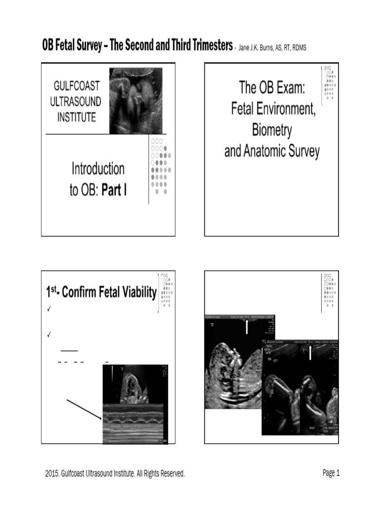 OB Fetal Survey: Second & Third Trimester | PDF | Heart ...