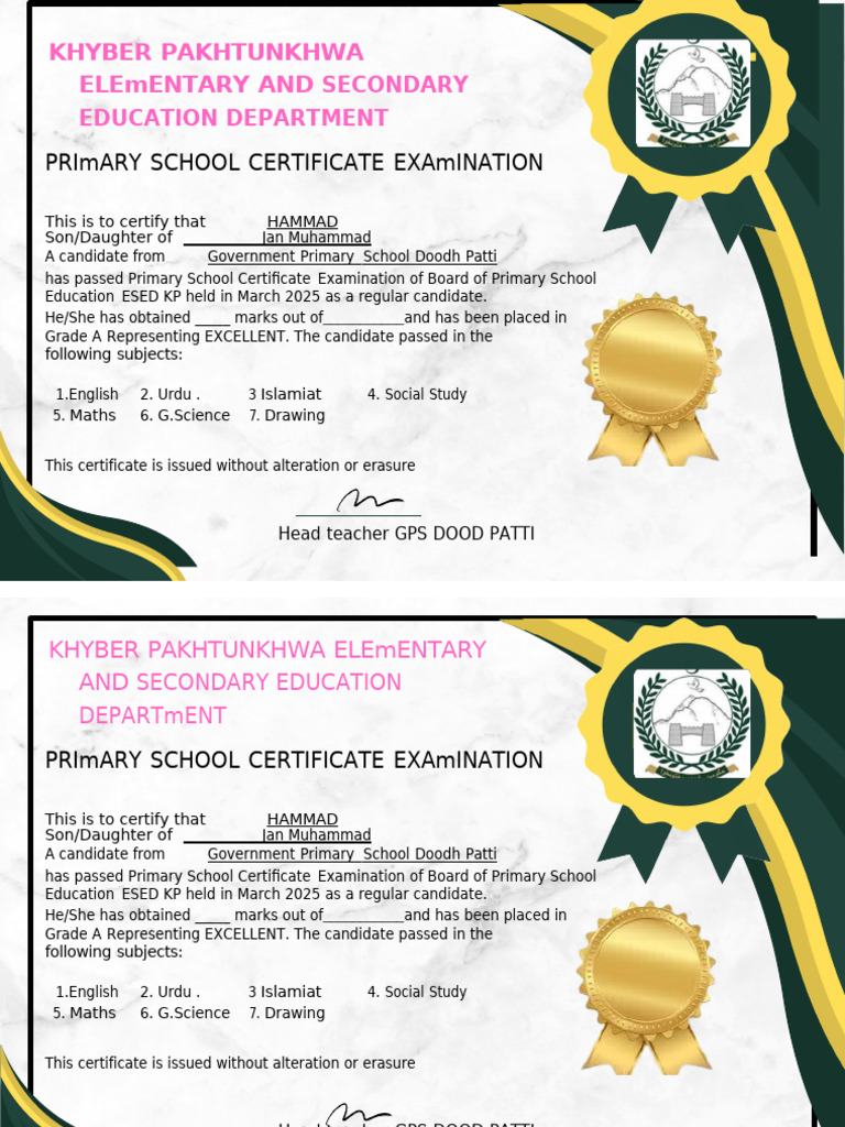 Primary School Certificate - Hammad | PDF