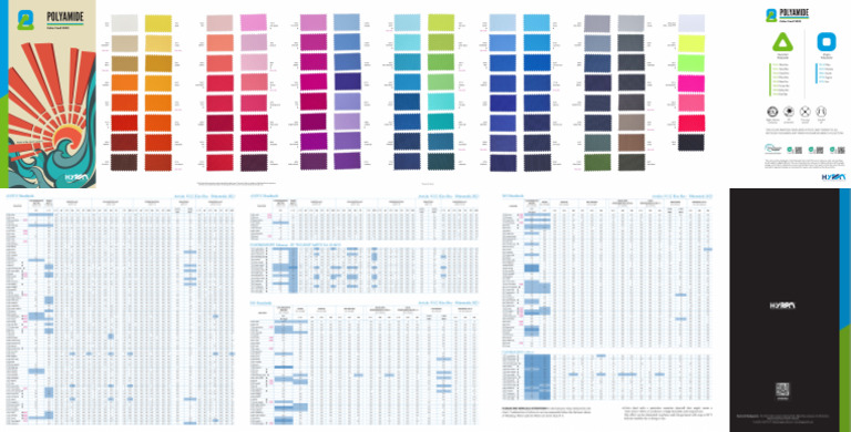 Polyamide Color Card 2025 - Compressed | PDF
