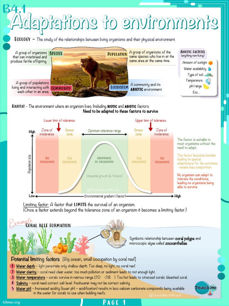 Ecosystem and Biome Relationships Explained | PDF | Coral | Trees