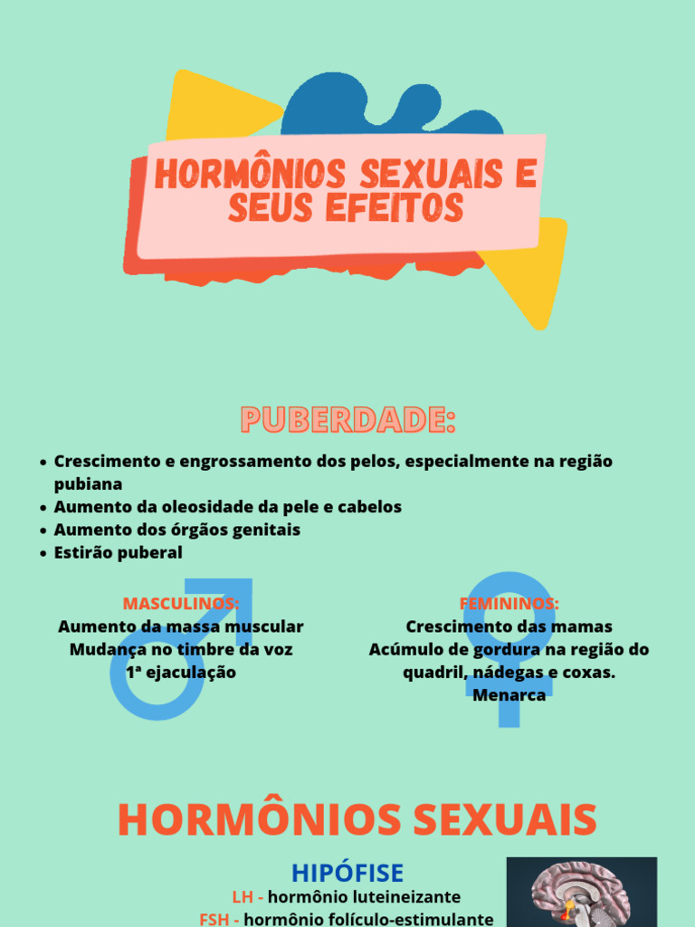 Efeitos dos Hormônios Sexuais na Puberdade | PDF
