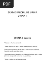 Exame Parcial de Urina1pdf