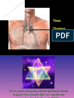 El TimO