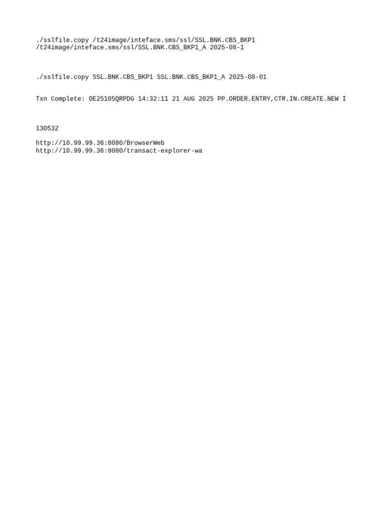 SSL File Copy Transaction Report | PDF