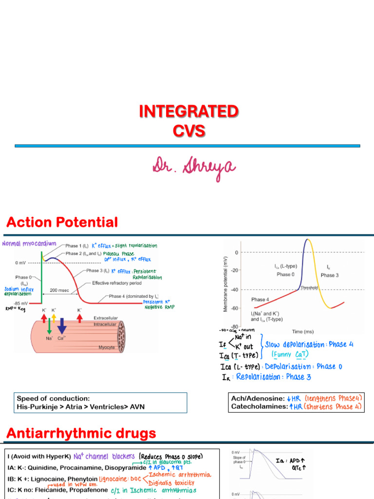 CVS 2.0 Annotated (Dr. Shreya) | PDF | Myocardial Infarction | Heart