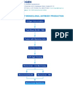 Anogen Monoclonal Antibody Production Flowchart