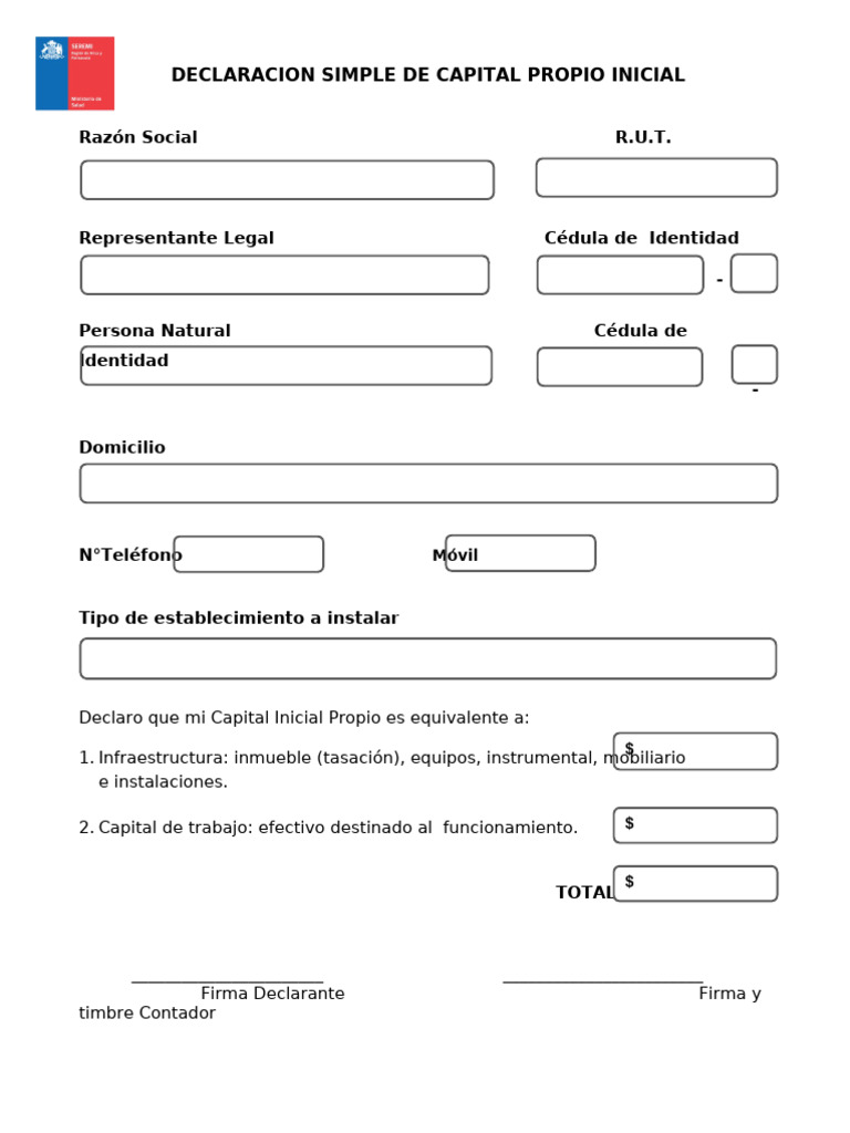 Declaración de Capital Propio Inicial | PDF
