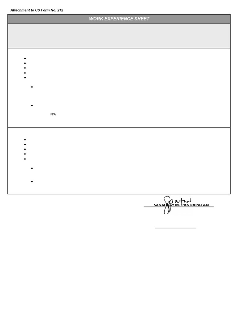 Work Experience Sheet for CS Form 212 | PDF