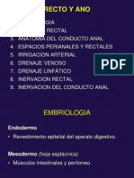 Anatomia Anorectal