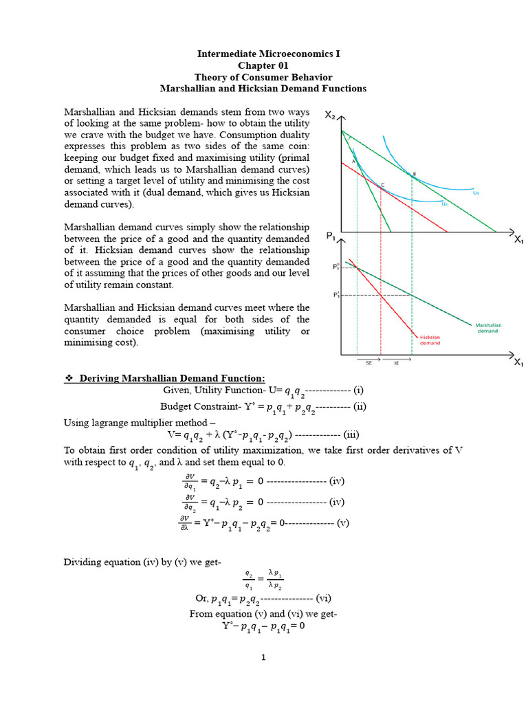 Marshallian Demand Function Explained | PDF | Demand | Price Elasticity ...