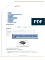 Los Procesos Cognitivos