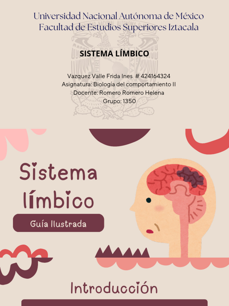 Funciones del Sistema Límbico en Decisiones | PDF | Las emociones ...