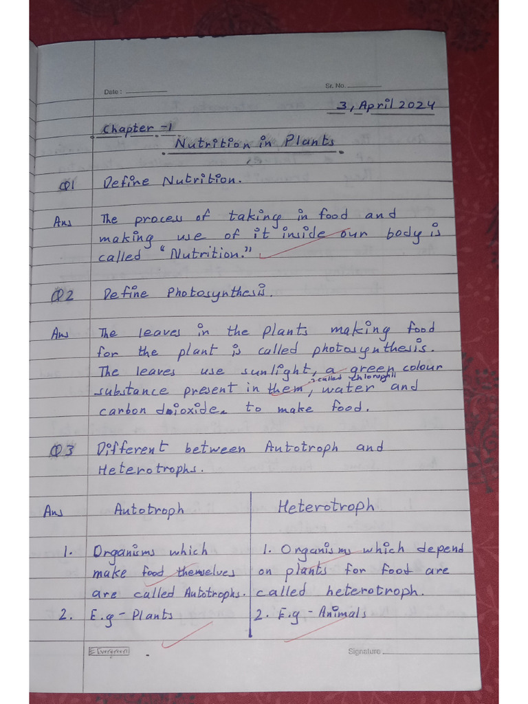 Science Chapter - 1 | PDF