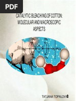 Download Catalytic Bleaching by Ch Hammad Nazir SN90597292 doc pdf