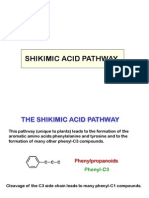Shikimate Pathway Overview