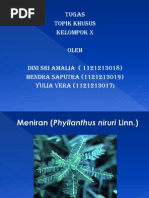 Download Ppt Topik Khusus by Dini Rizki Amalia SN90601580 doc pdf