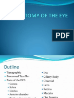 Anatomy Topography of The Eye