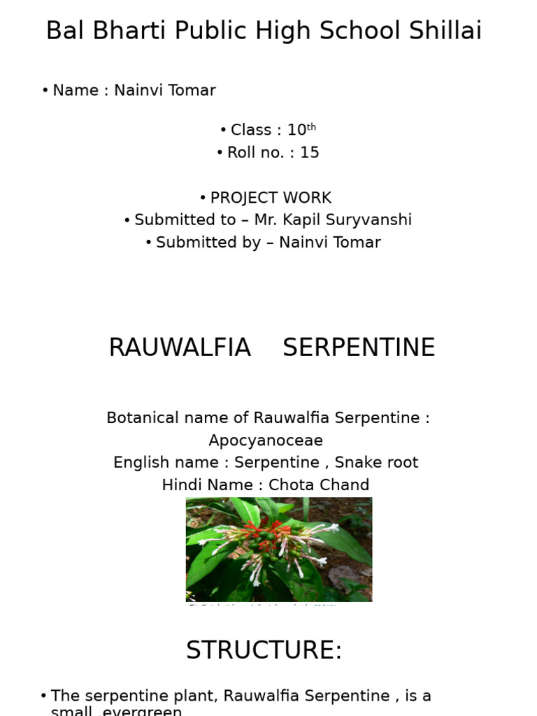 Nainu's Presentation 7 | PDF
