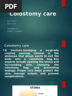 Hartmann's Procedure | PDF | Surgery | Colorectal Cancer