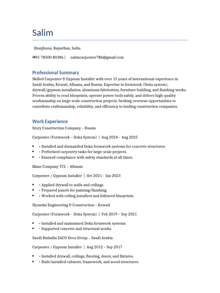 Salim CV | PDF