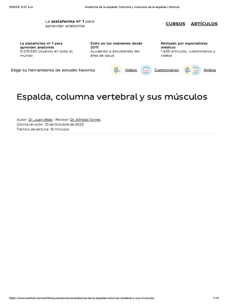 Anatomía de la Espalda y Columna | PDF | Vértebra | Articulación