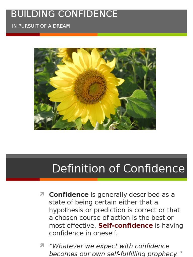 Building Confidence: in Pursuit of A Dream | PDF | Self Esteem ...
