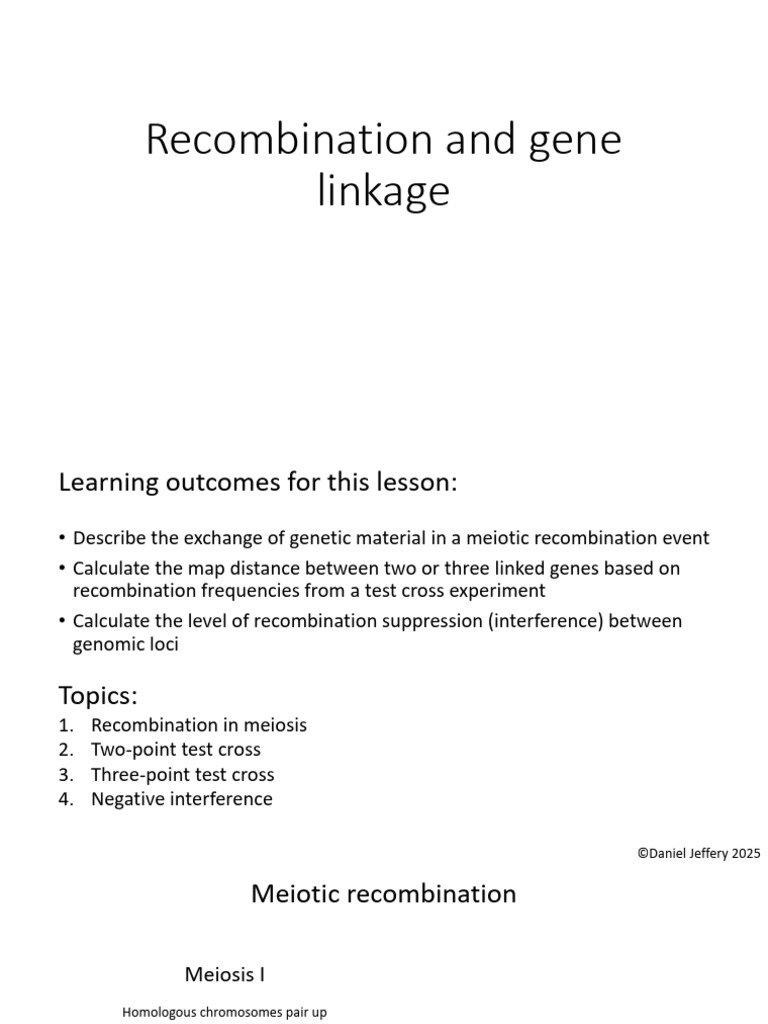 Meiotic Recombination and Gene Linkage | PDF | Meiosis | Genetic Linkage