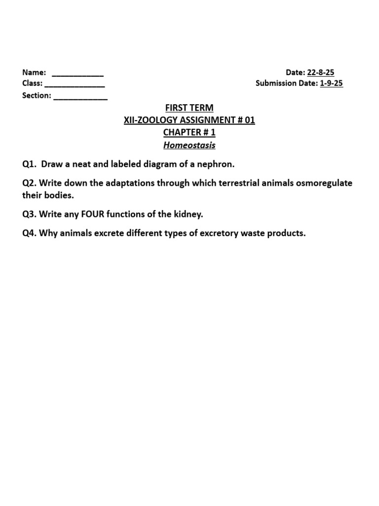 Assignment # 01 First Term | PDF