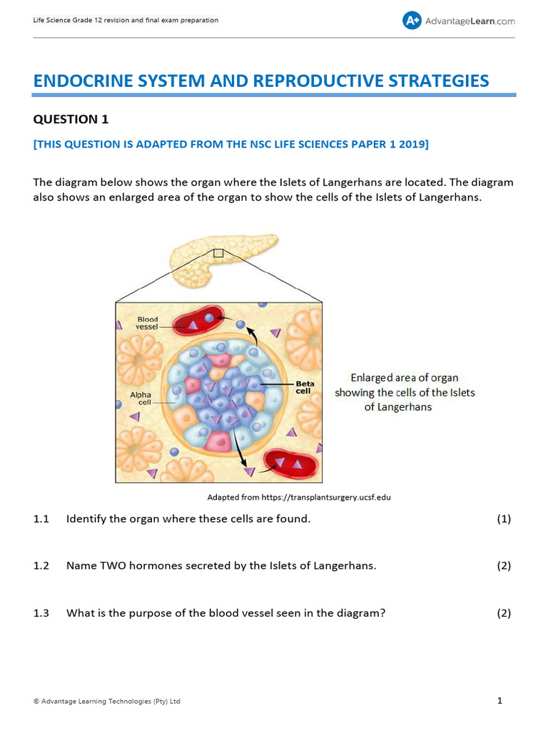 Notes Life Science Grade 12 Revision and Final Exam Prep Paper 2 ...