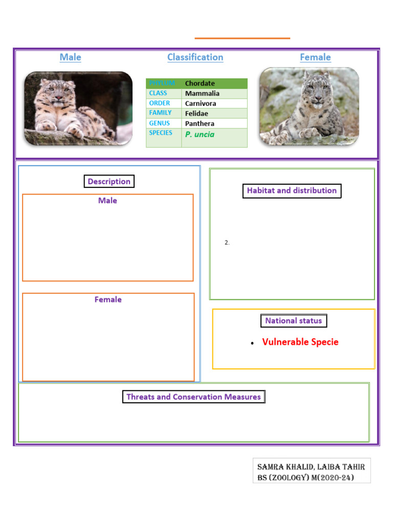 Snow Leopard Classification Overview | PDF
