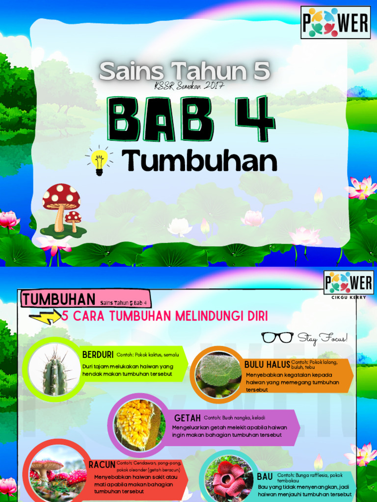 Bab 4 Tumbuhan | PDF