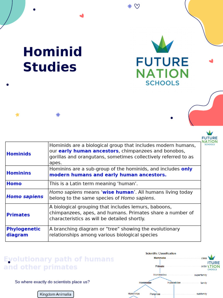 Understanding Hominid Evolution and Traits | PDF | Hominidae | Homo