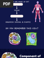 Cell Structure and Organisation | PDF | Endoplasmic Reticulum | Cell ...