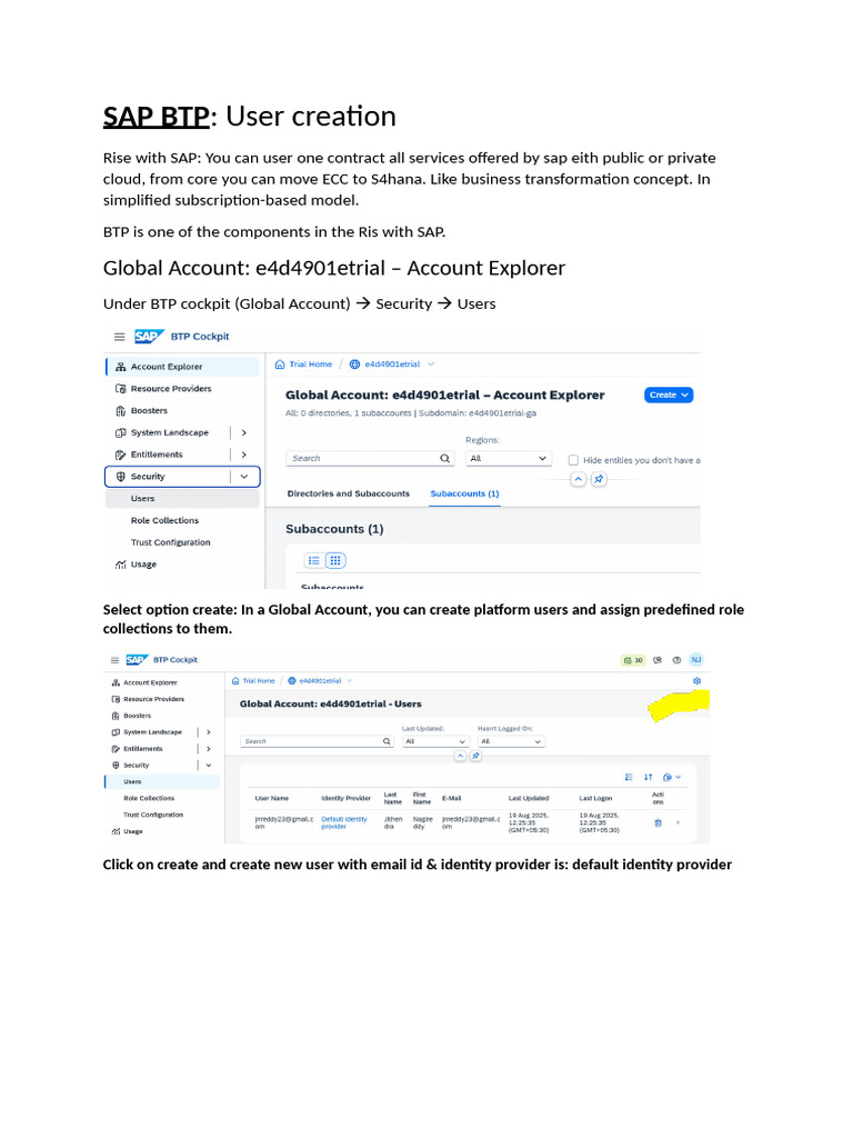 Creating Users in SAP BTP Global Account | PDF