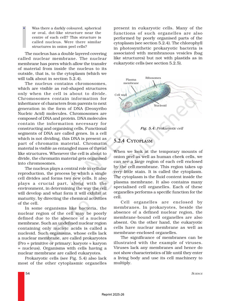 D Textbooks Rationalised Books 0964-Science 1 Source Files Chapter-5 ...