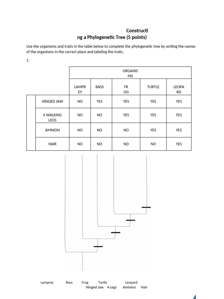 Constructing A Phylogenetic Tree | PDF