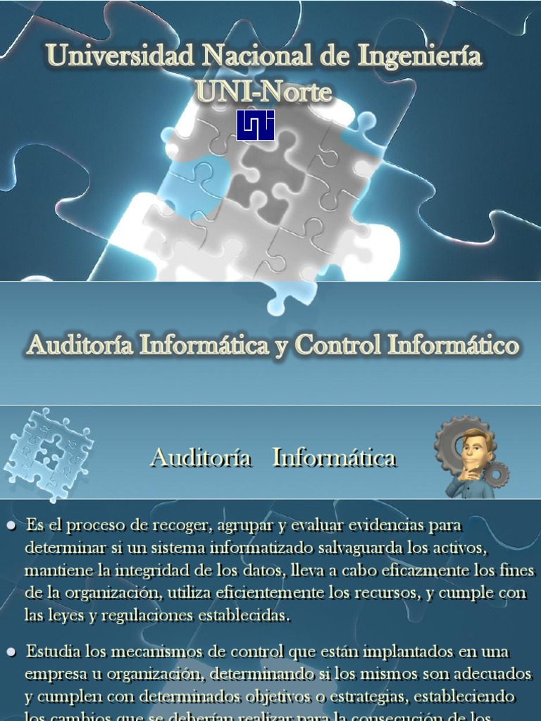 Control Interno Informatico | PDF | Auditoría financiera | Informática