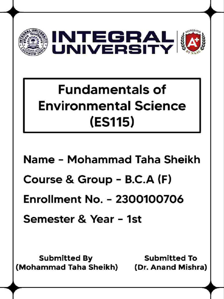 Tally Assignment | PDF