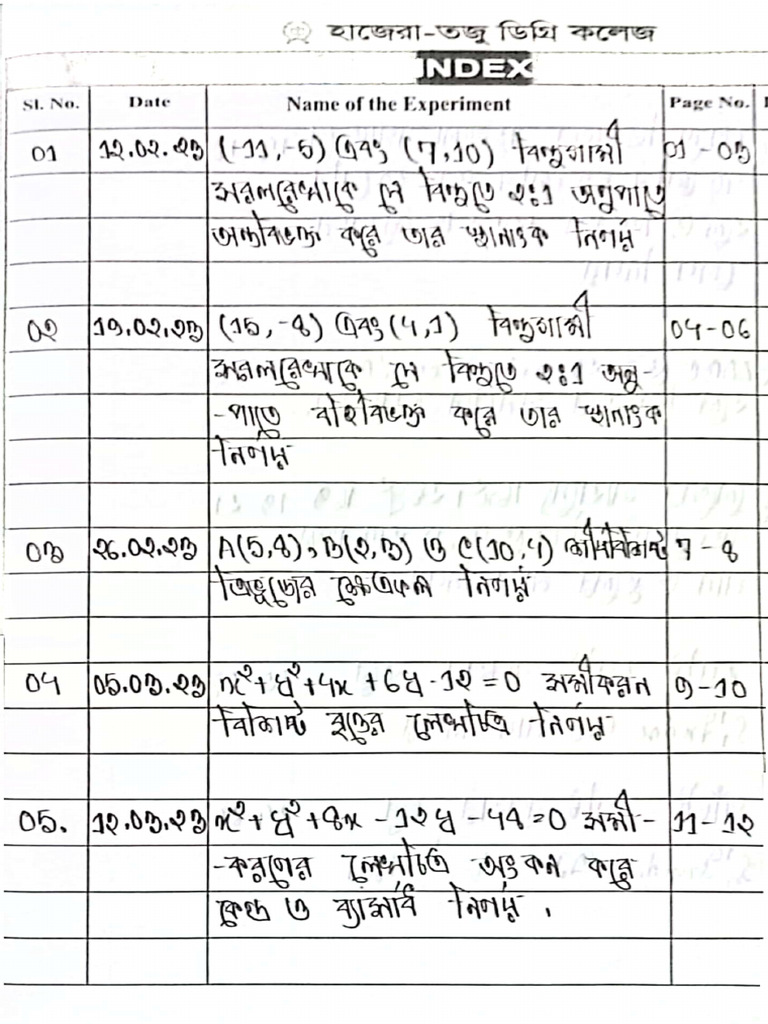 Higher Math 1st Paper Practical (2) | PDF