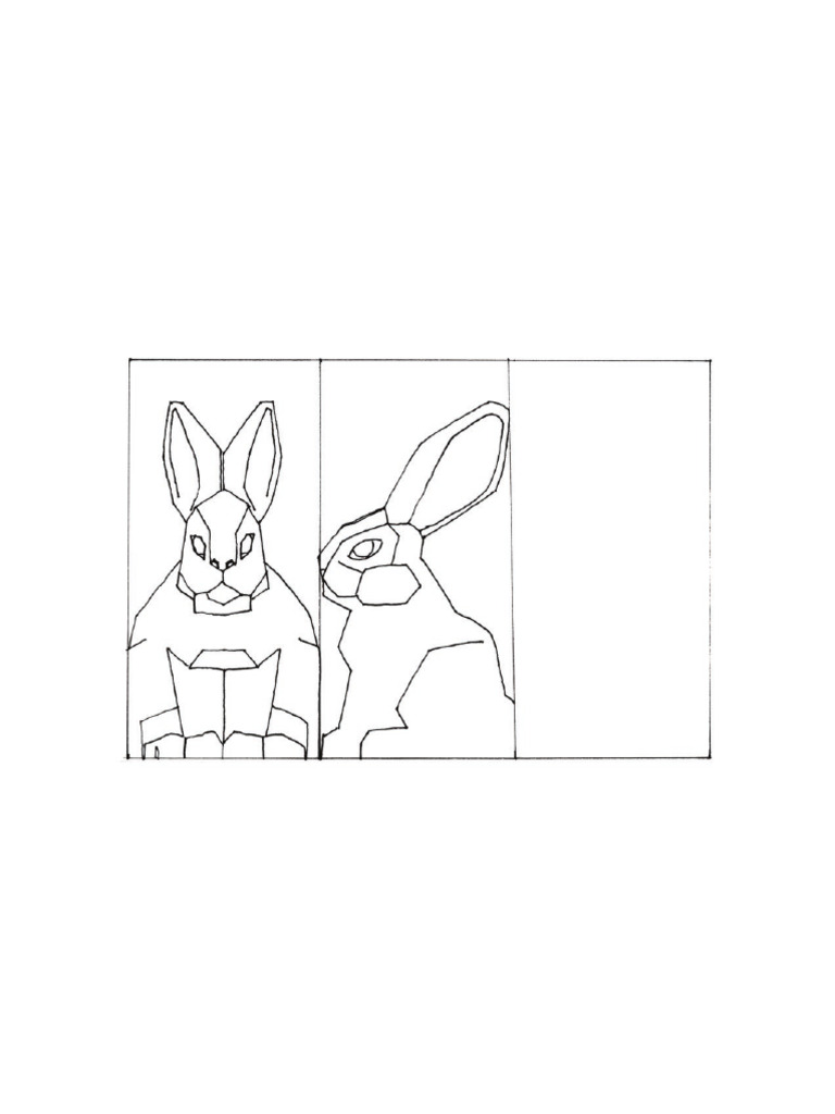 Rabbit 2 | PDF