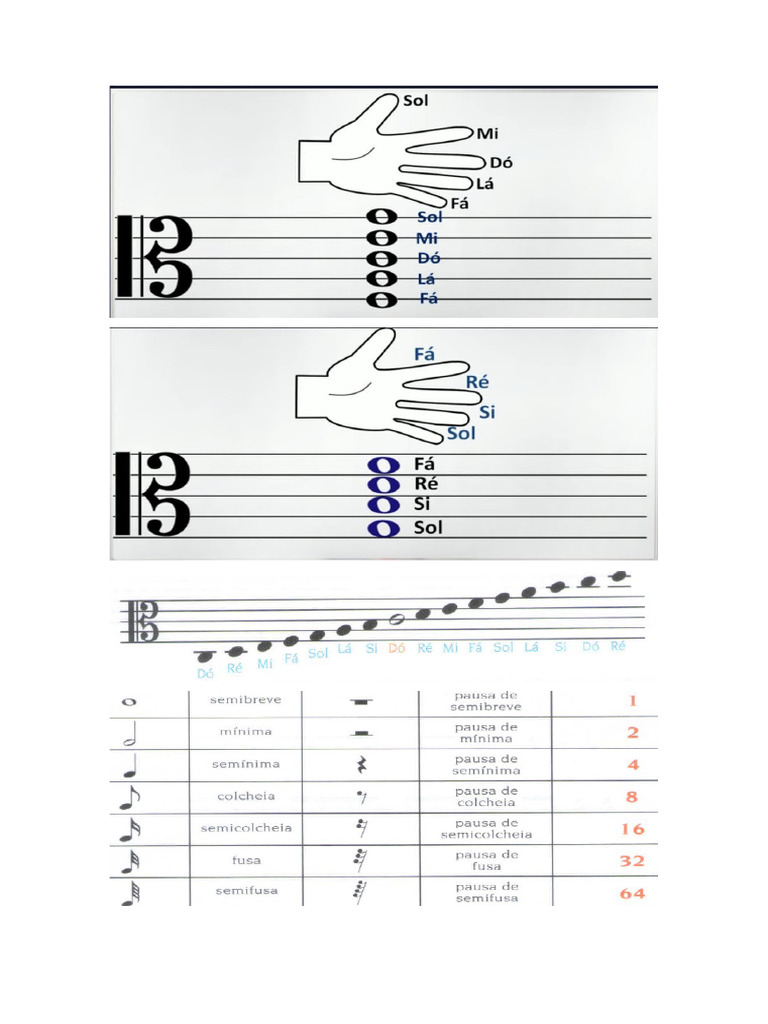 Notas | PDF