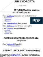 Chordate Classification