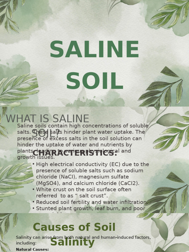 Understanding Saline Soil Characteristics | PDF | Soil | Plant Nutrition