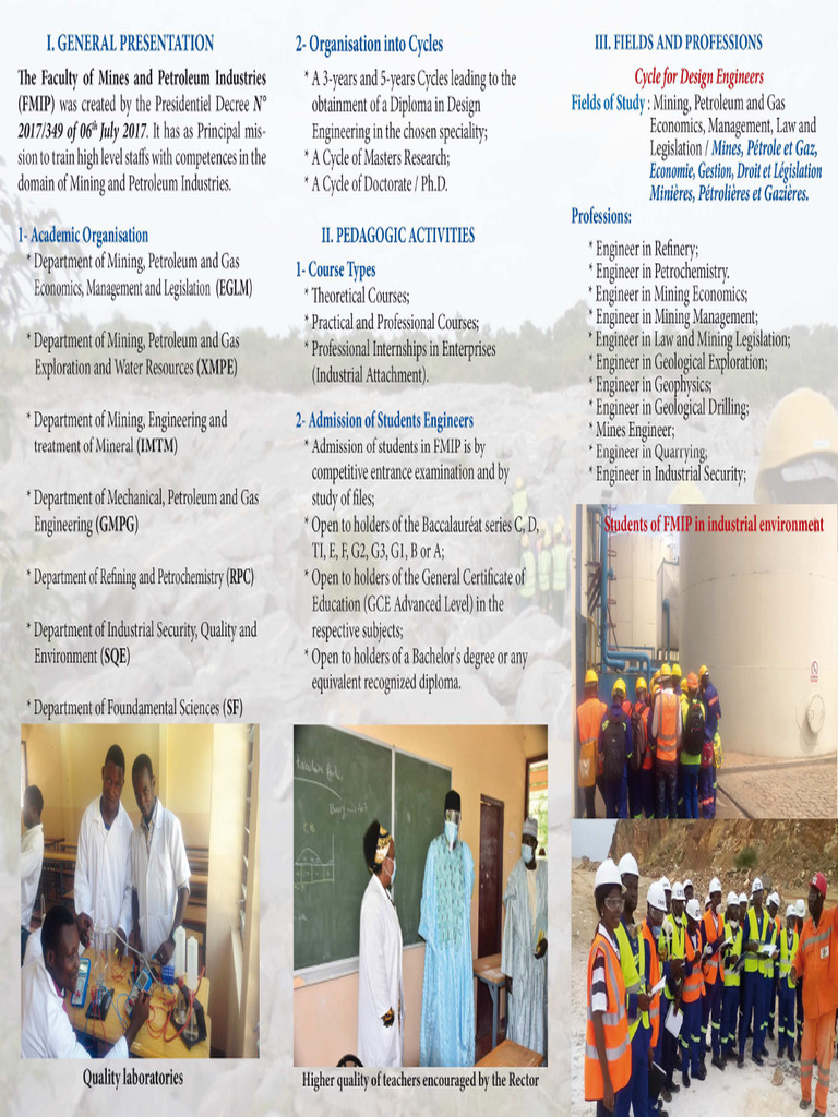 Prospectus Ang2 FMIP 2020 | PDF