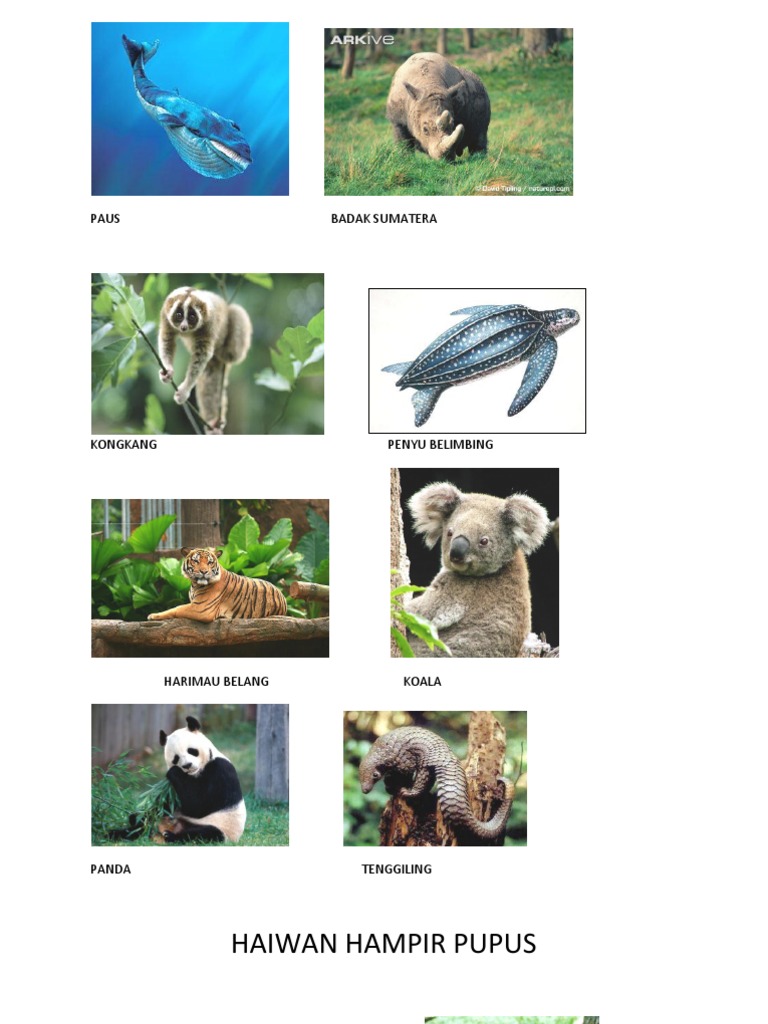 Haiwan Hampir Pupus  PDF