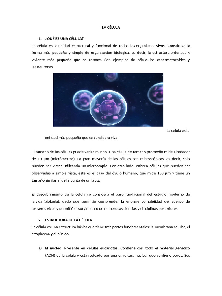 Estructura y Funciones de la Célula | PDF | Biología Celular) | Citoplasma