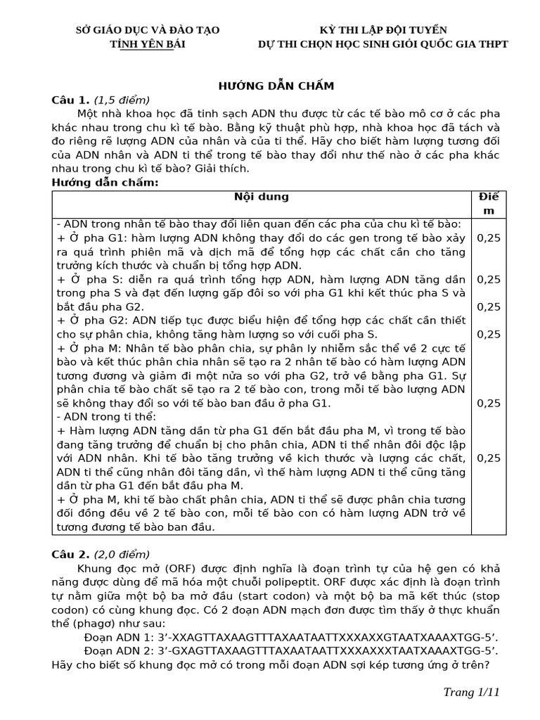HDC Yên Bái Ngày 2 | PDF