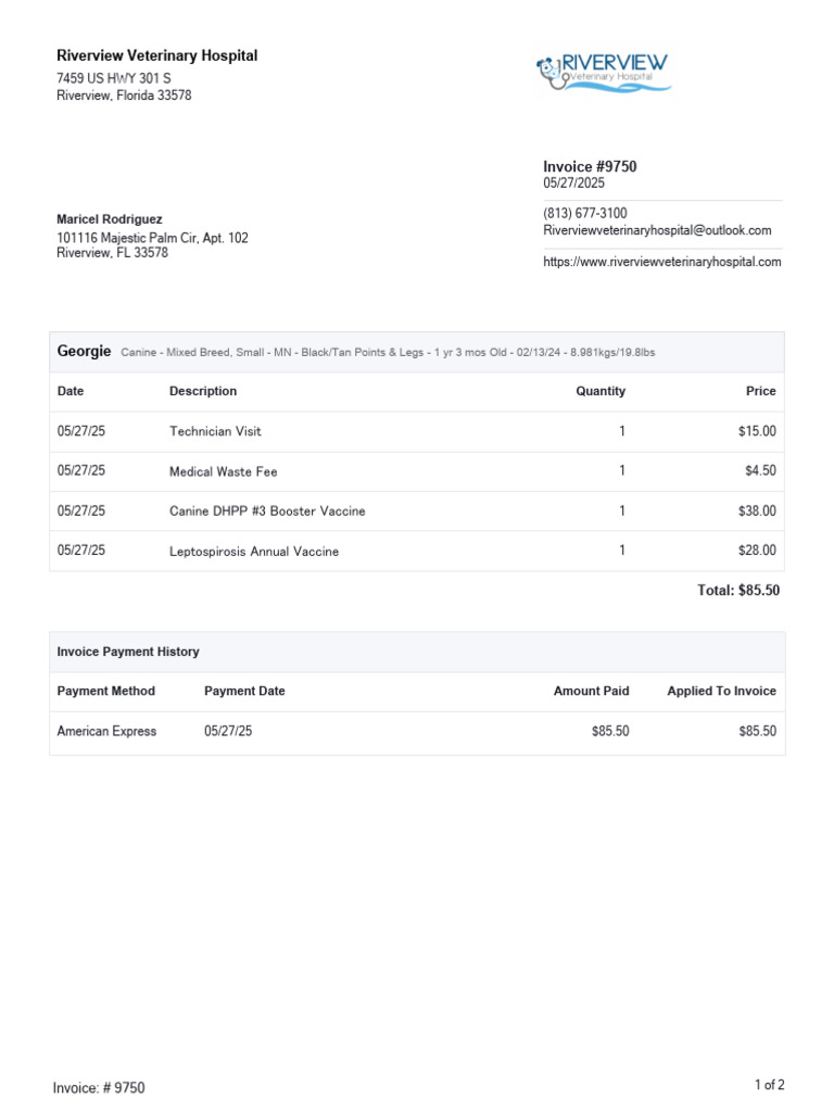 Georgie's Veterinary Invoice Summary | PDF | Invoice | Vaccination