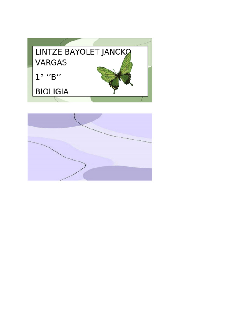 Mariposa S | PDF