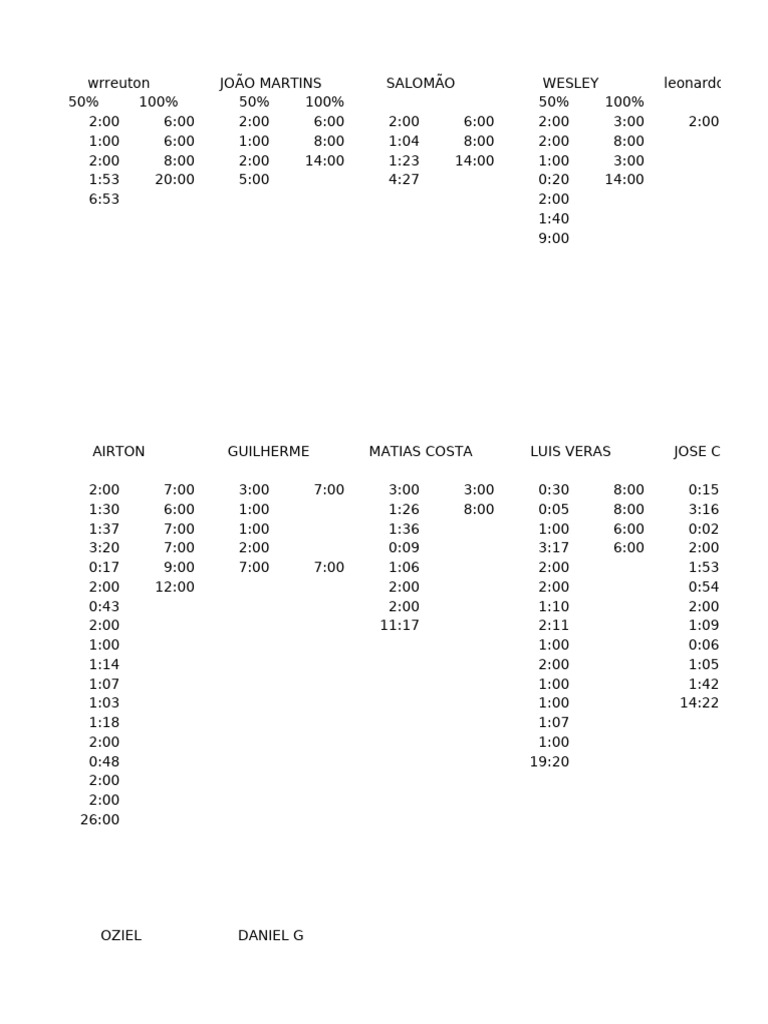 Team Member Time Logs Summary | PDF